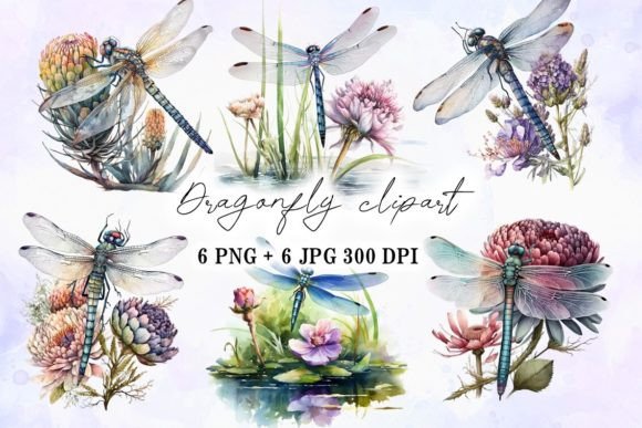 Beautiful Dragonfly Flower Watercolor Illustrations