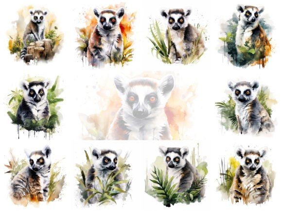 Cute Lemur Watercolor Clipart Bundle: Illustrations Review