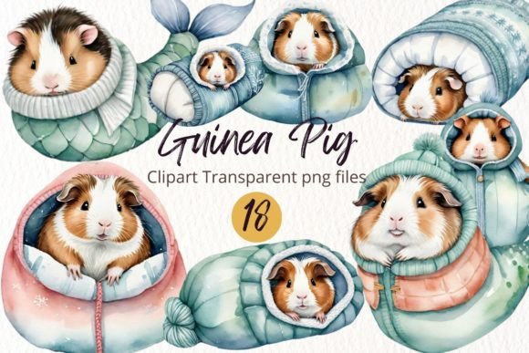 Guinea Pig Watercolor Illustrations: Sublimation PNG Review