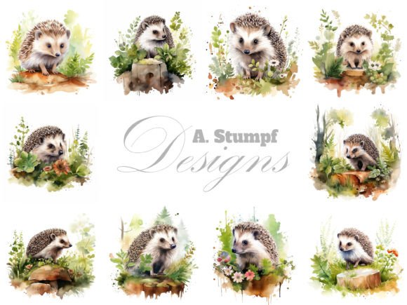 Hedgehog Watercolor Clipart Bundle: Illustrations Review