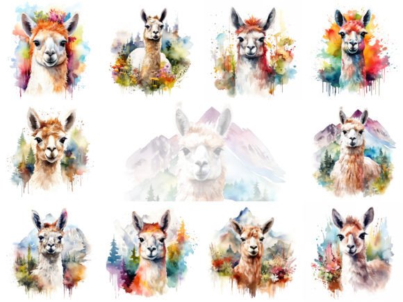 Lama Watercolor Clipart Illustrations for Commercial Use
