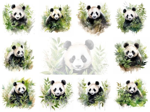 Panda Bear Watercolor Clipart Bundle: Editorial Illustrations