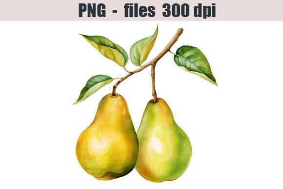 Pear Watercolor Clipart: An Embroidery Review