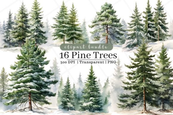 Pine Trees Watercolor Clipart: An Embroidery Review