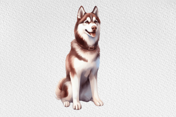 Watercolor Husky Dog Sublimation Illustrations Review