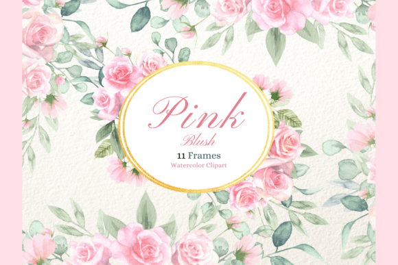 Watercolor Pink Blush Rose Frames: Illustrations Review