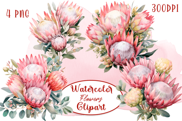 Winter Flowers Watercolor Collection Illustrations Review